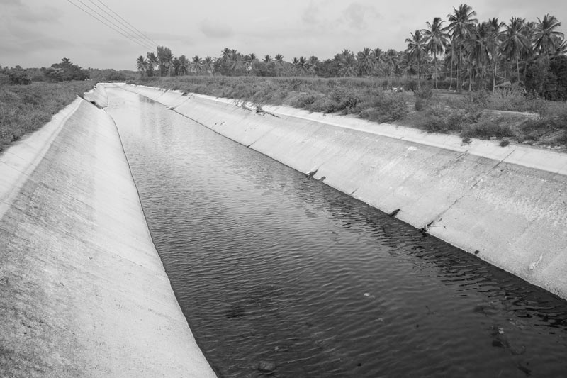The main canal carrying irrigation water from Thonnur Kere - an irrigation tank in Mandya district, Karnataka. It enables cultivation of paddy, jowar,  ragi and maize as food crops